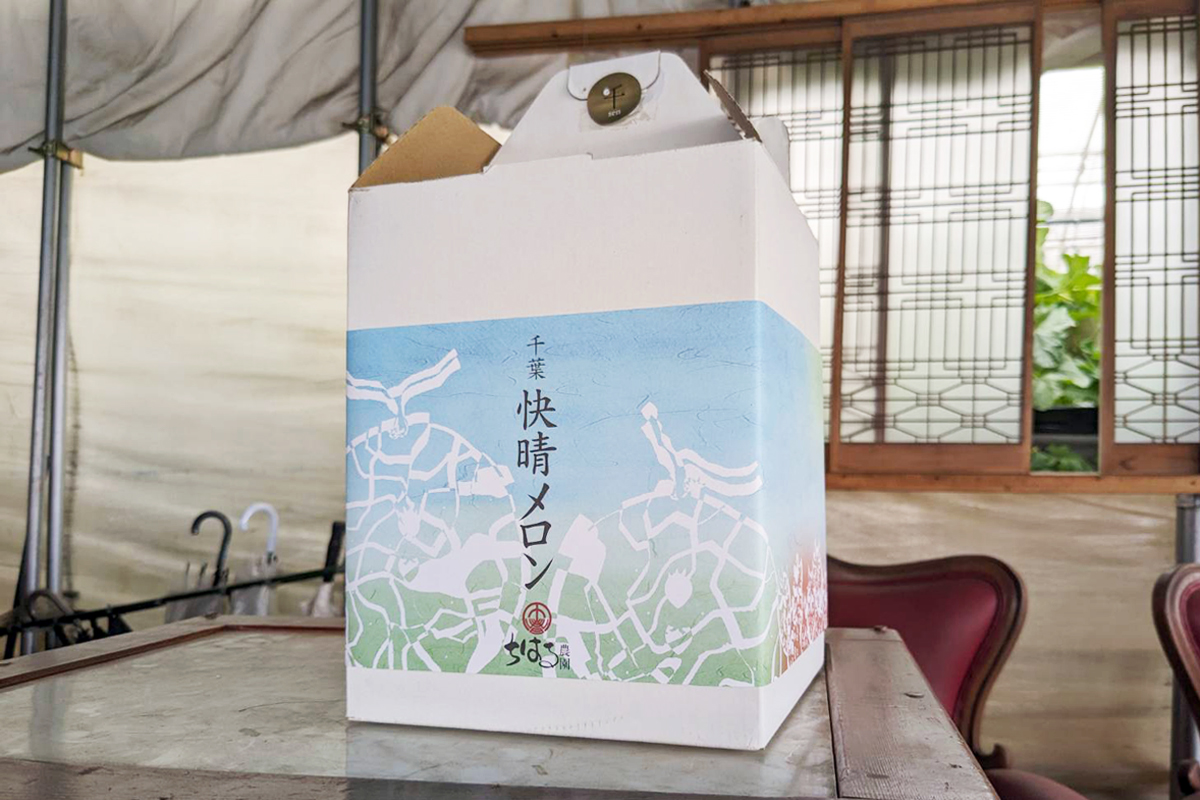 メロンパッケージ02