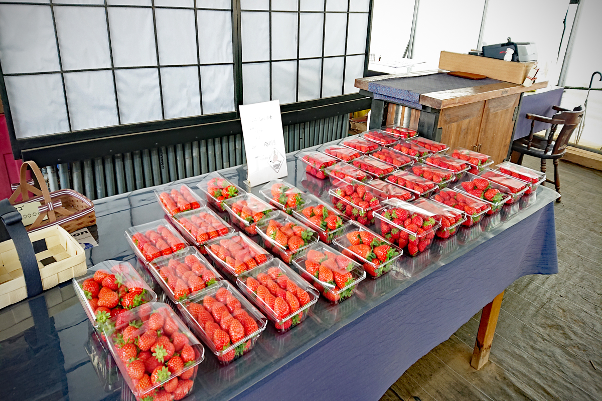 いちご販売01