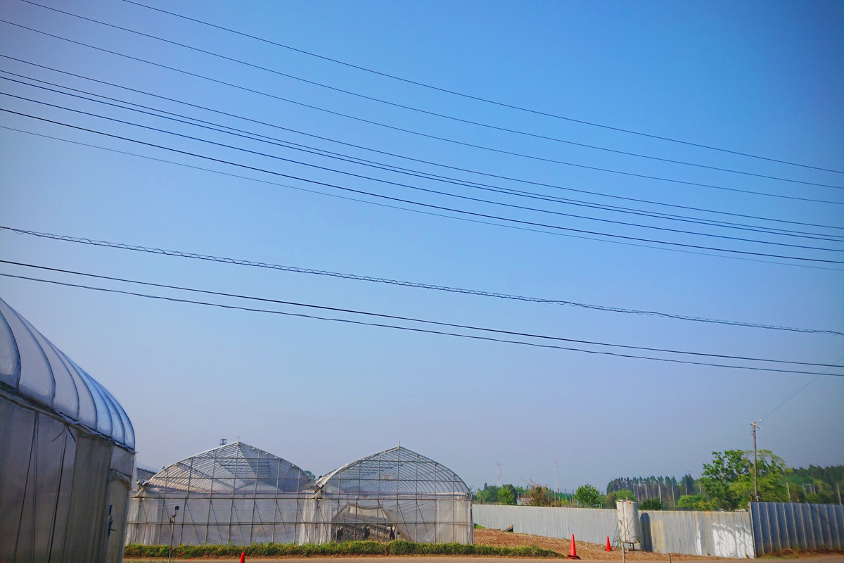 ビニールハウス