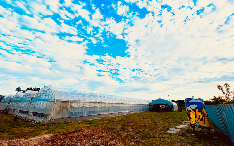 ちはるの風景の画像